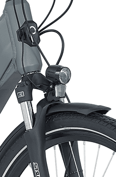 Prophete E-Bike Cityrad Geniesser 2.8, 7 Gang Shimano Nexus Schaltwerk, Nabenschaltung, Frontmotor, 360 Wh, Pedelec, Elektrofahrrad für Damen u. Herren